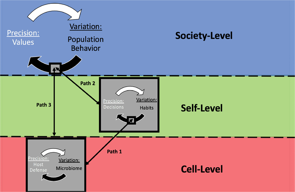 Fig. 4: Integration of cell, self and society.