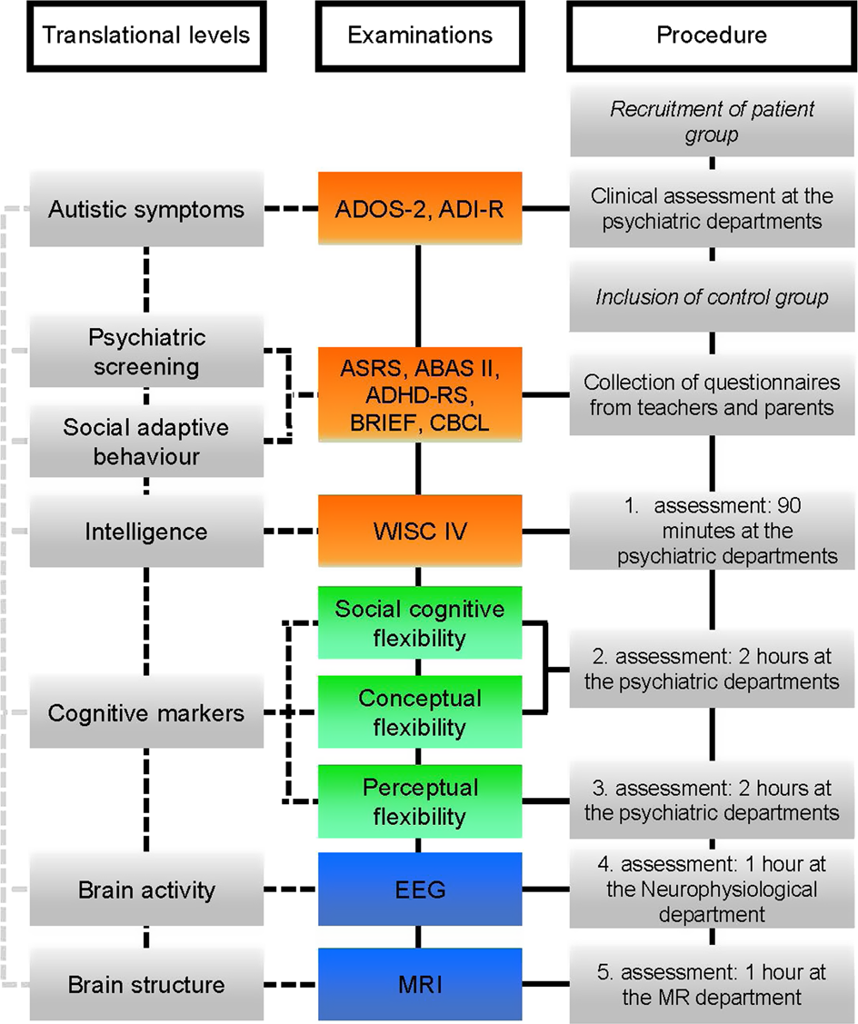 Everyday characterizations of translational research: researchers' own use  of terminology and models in medical research and practice | Humanities and  Social Sciences Communications