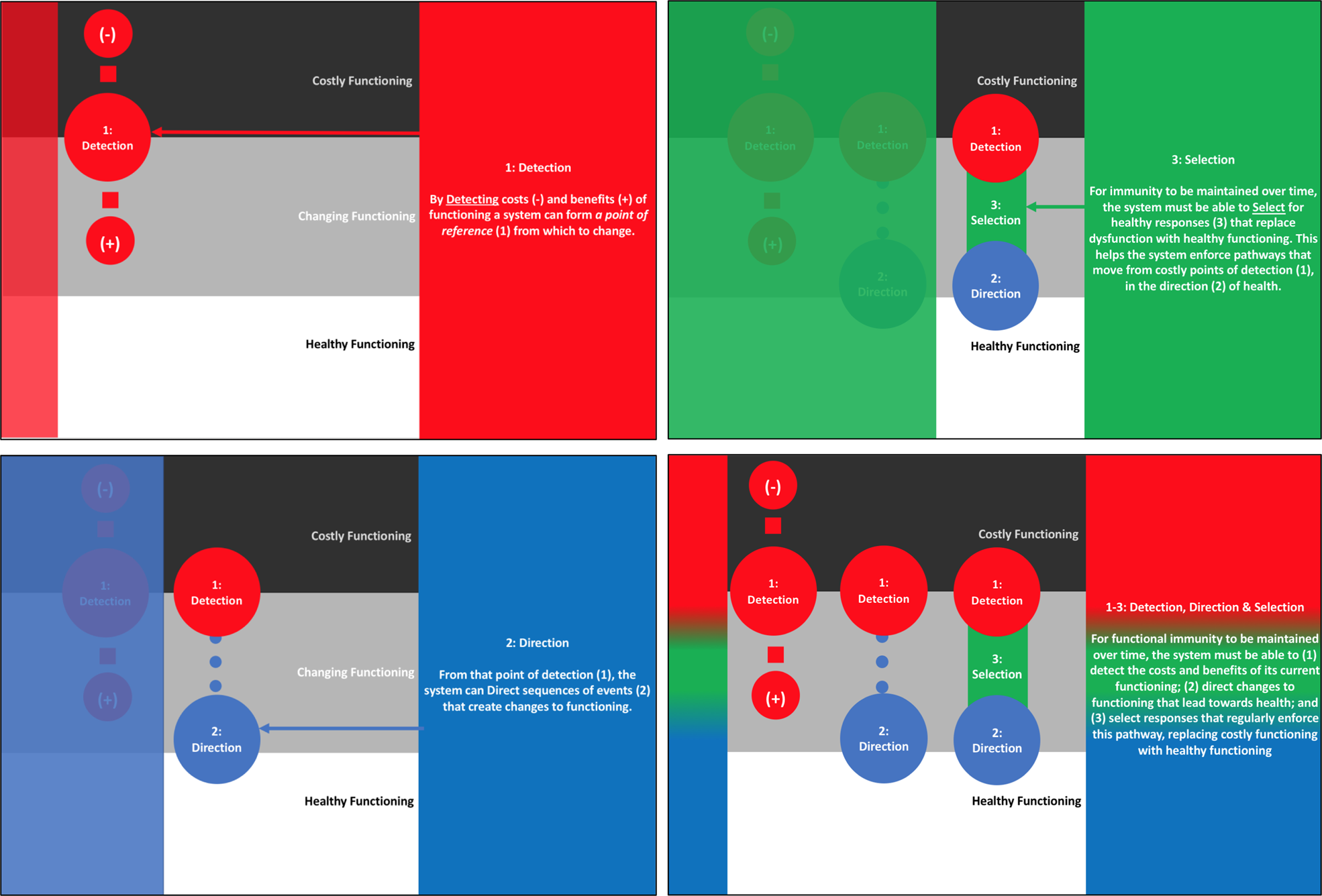 Fig. 2: The path of precision.