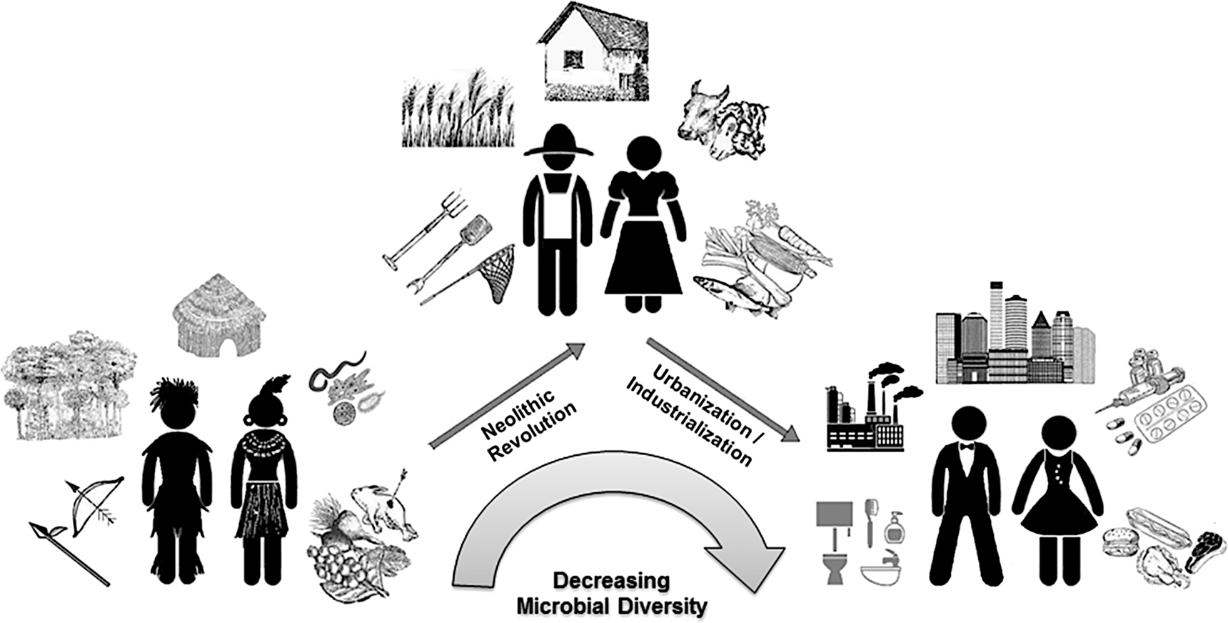 Does the human microbiome tell us about race? | and Social Communications