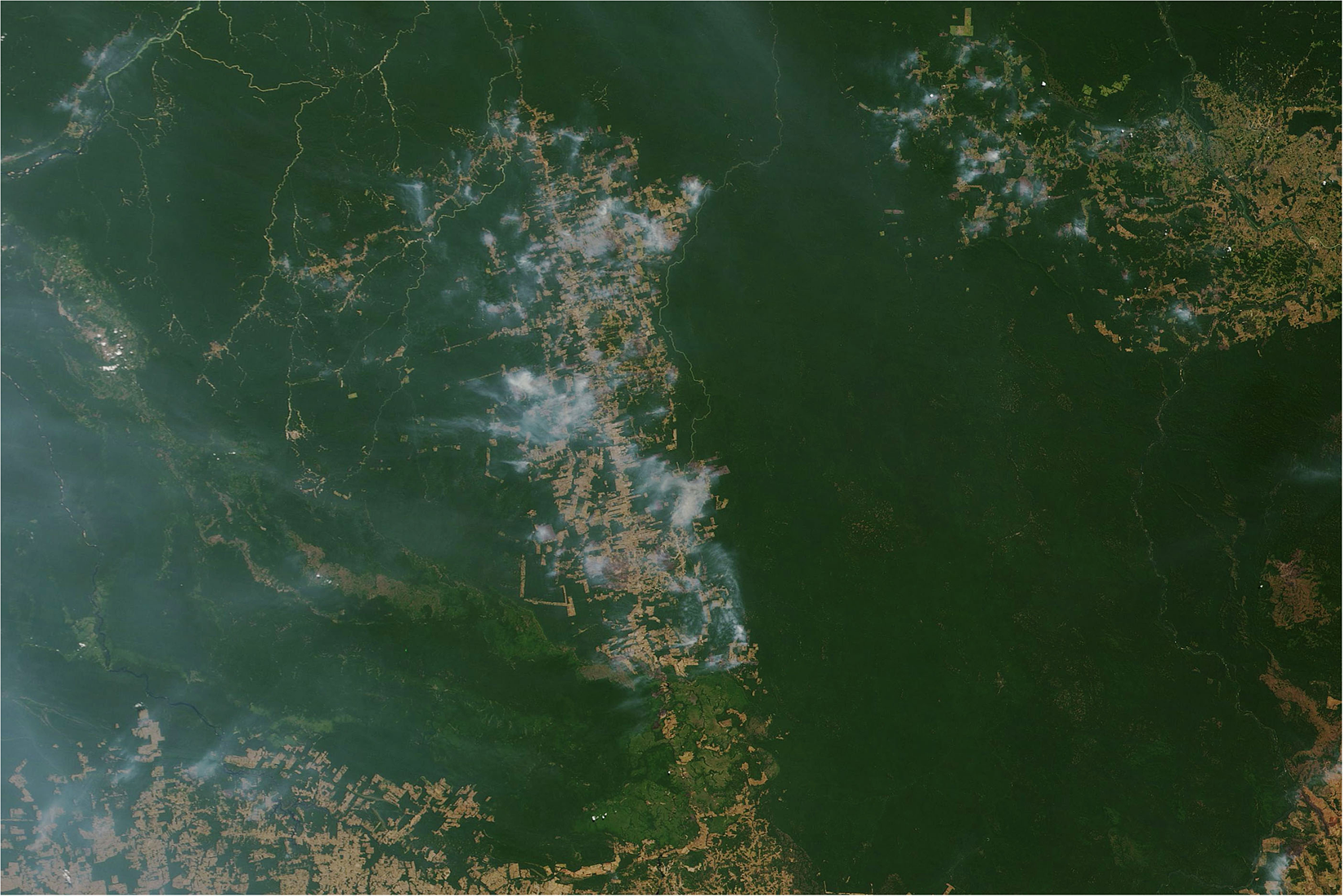 Introducing a global planetary ecosystem accounting in the wake of the  Amazon Forest fires | Humanities and Social Sciences Communications