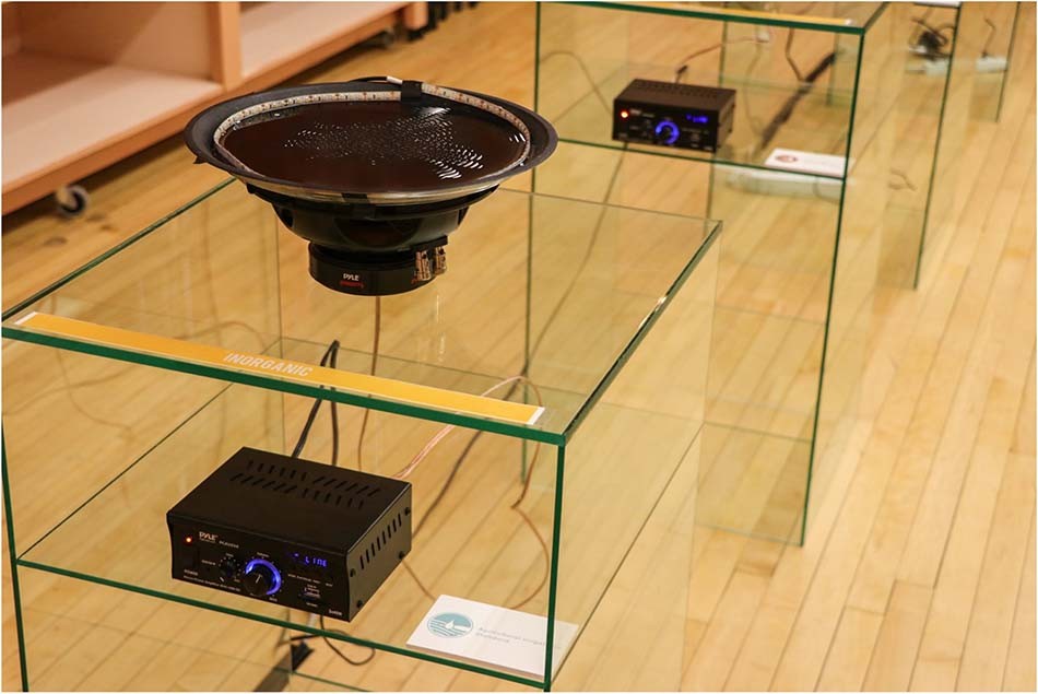 A station at Ripple Effect. Each sound station includes: One speaker, one amplifier, a bowl filled with water, a strip of LED lights attached to the rim of the bowl, an Arduino, a label stating the contaminant, and a label stating the comparative value. 