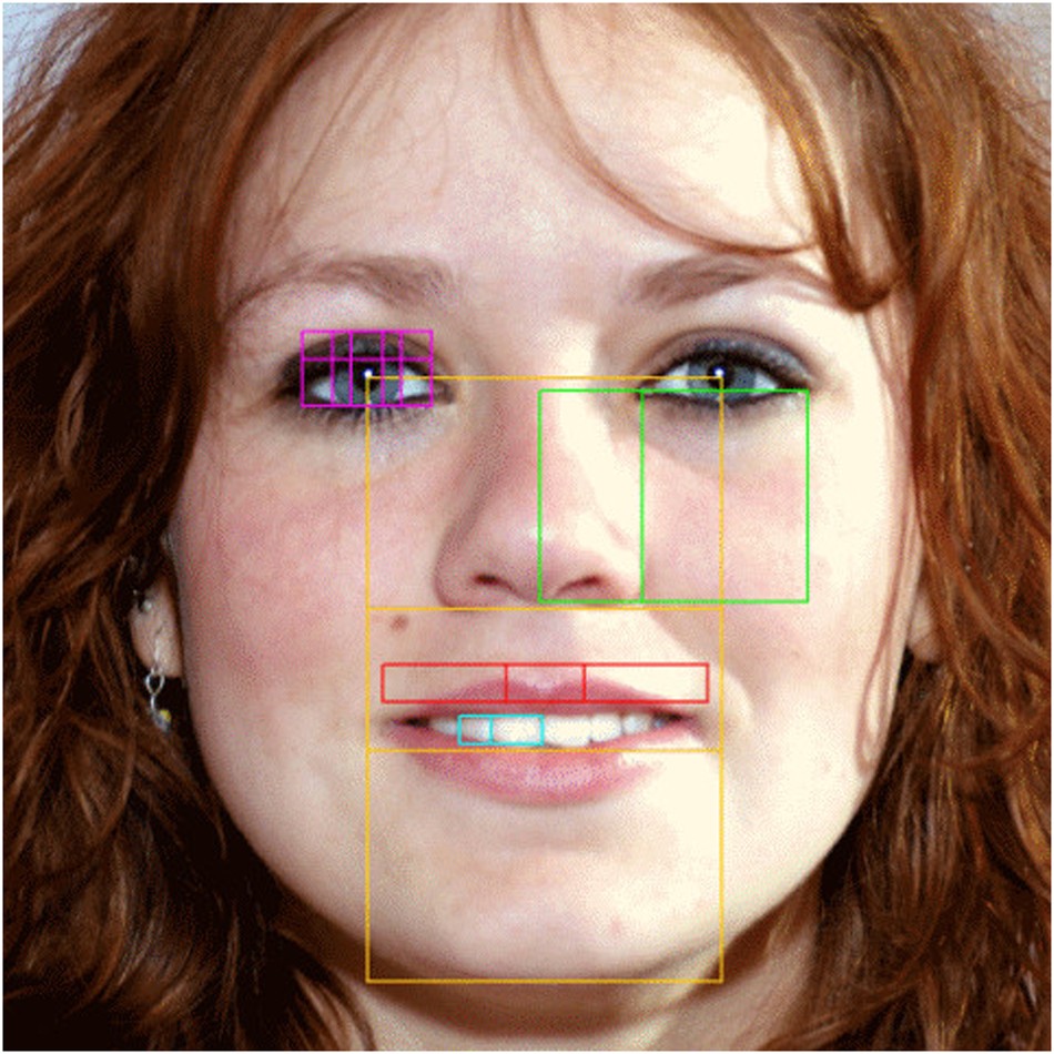 Fig. 3: The photo illustrates the main proportions of golden ratios on the human face detected with the PhiMatrix™ software.