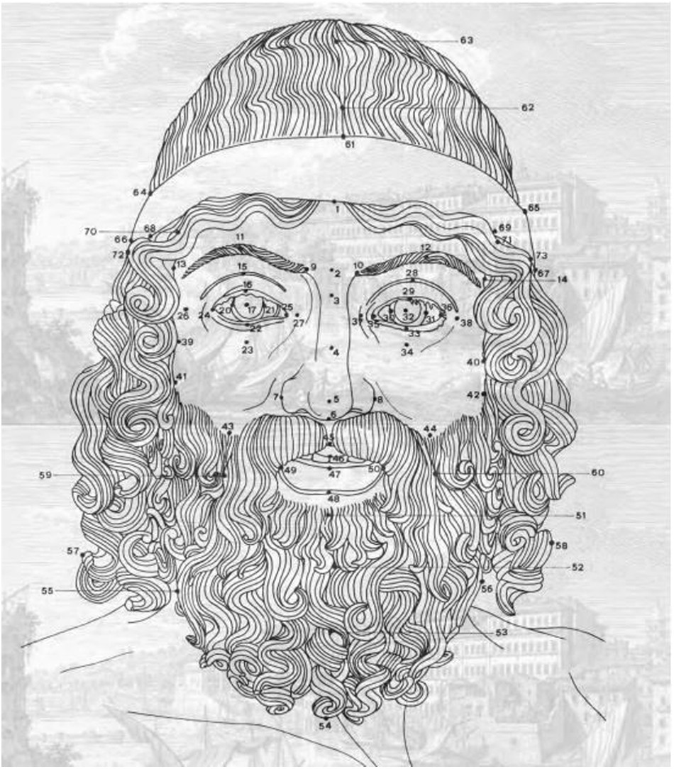 Fig. 4: The image illustrates the graphical representation of the face of Statue A.