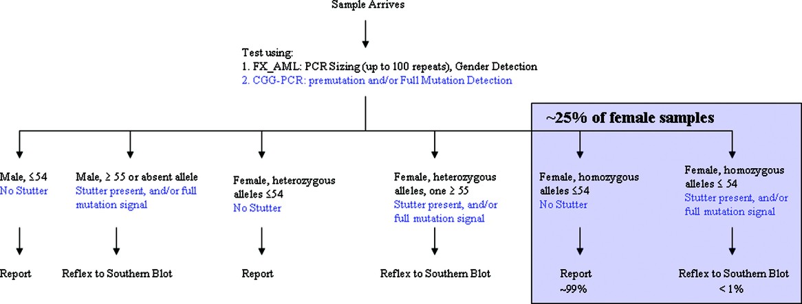 Qualitative assessment of FMR1 (CGG)n triplet repeat status in normal,  intermediate, premutation, full mutation, and mosaic carriers in both  sexes: Implications for fragile X syndrome carrier and newborn screening |  Genetics in