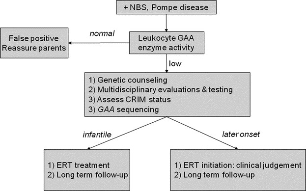 A hopeful therapy for Niemann-Pick C diseases - The Lancet