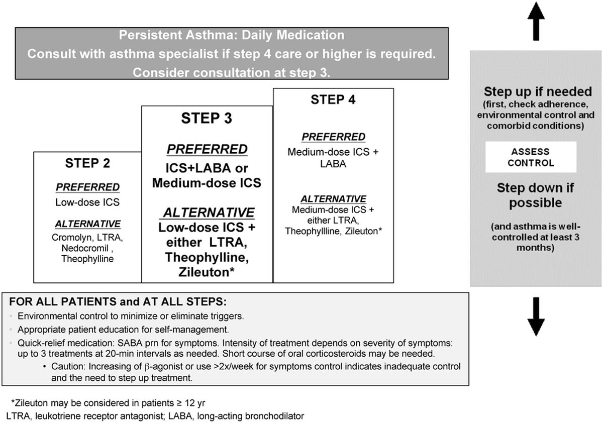 Asthma Stepwise Approach Chart