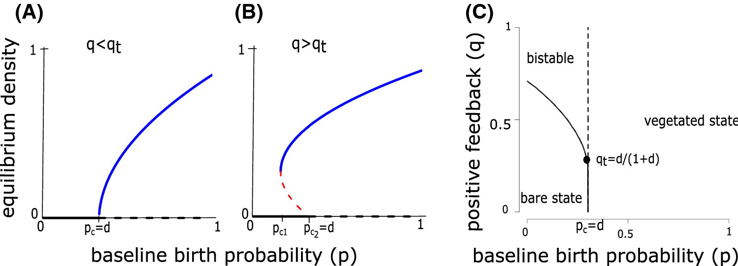 Figure 2 Finite Size Effects Demographic Noise And Ecosystem Dynamics Springerlink