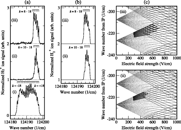 Fig. 25