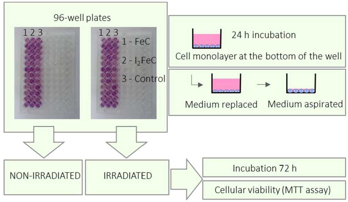 Figure 4