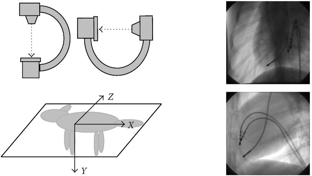 Figure 8