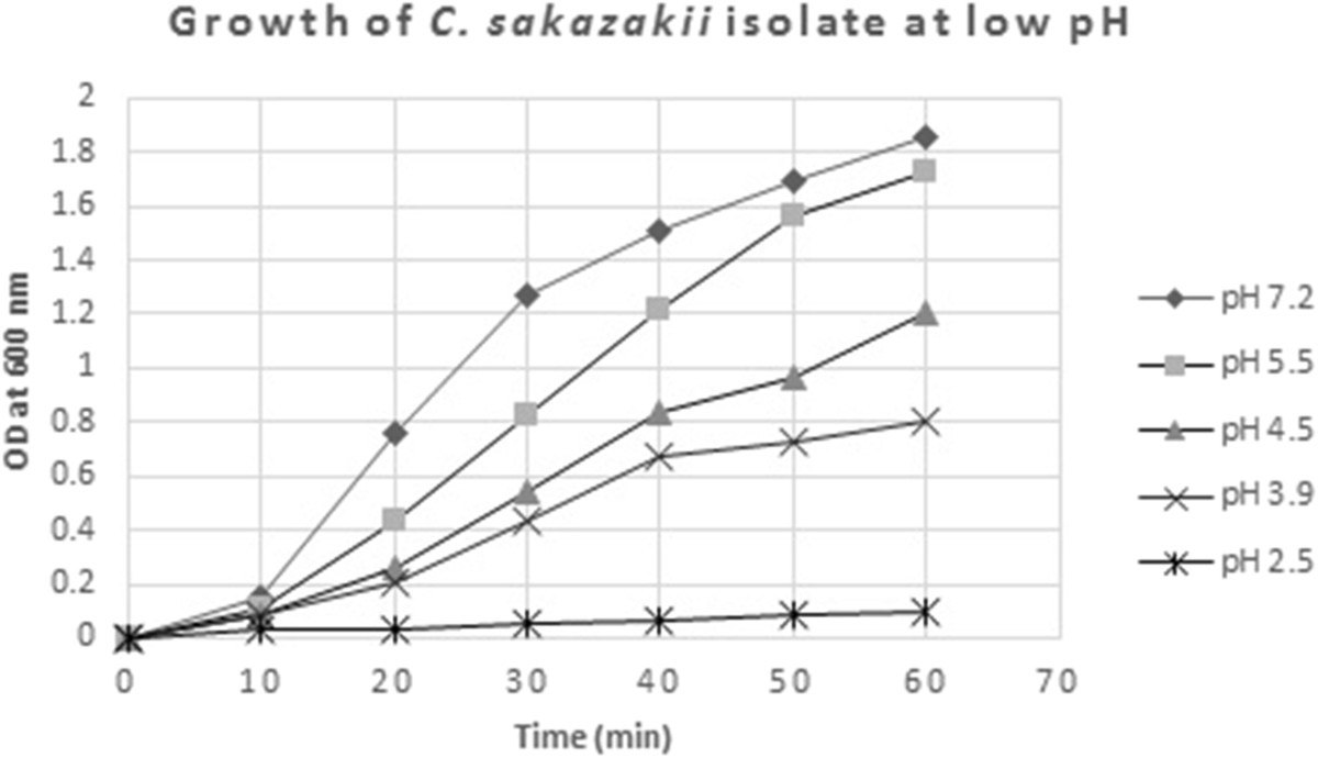 Figure 5