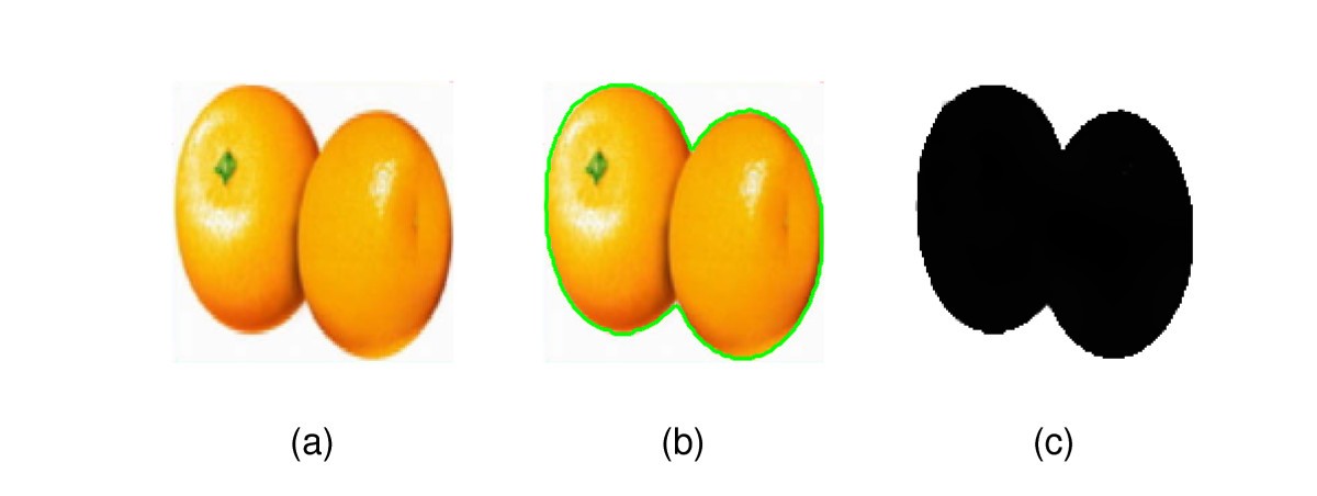 Figure 5