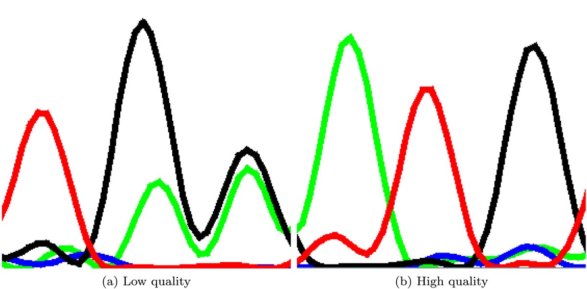 Figure 4