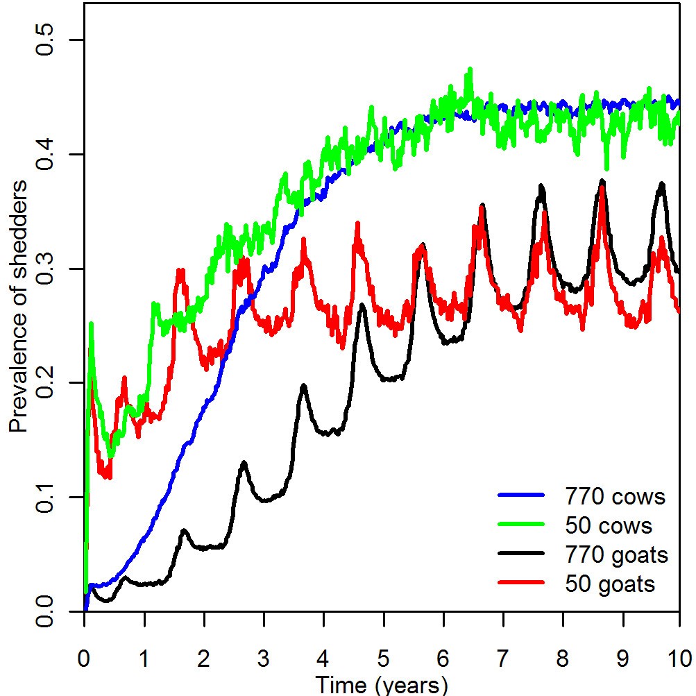 Figure 5