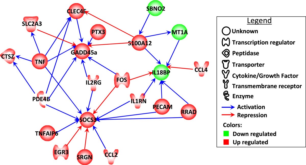 Figure 6