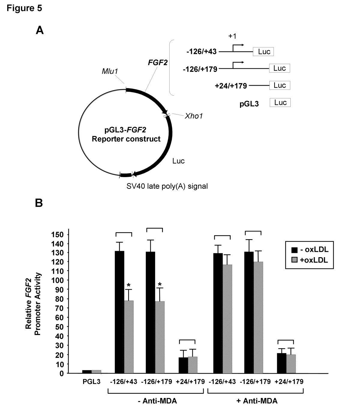 Figure 5