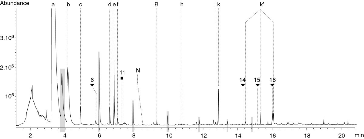 Figure 11