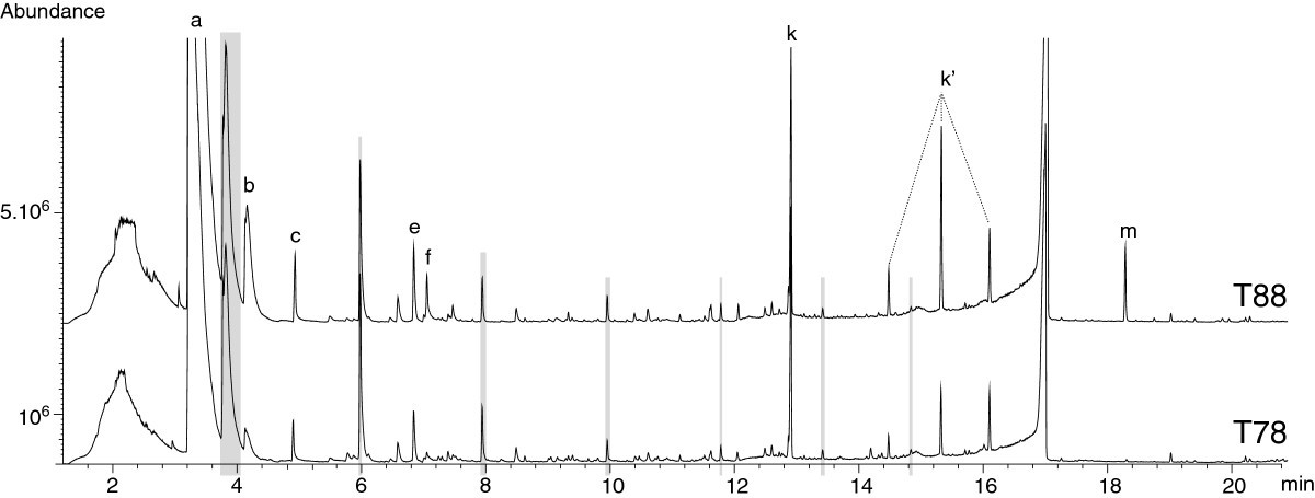 Figure 14