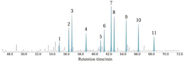 Data set 3