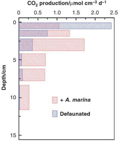 Figure 15