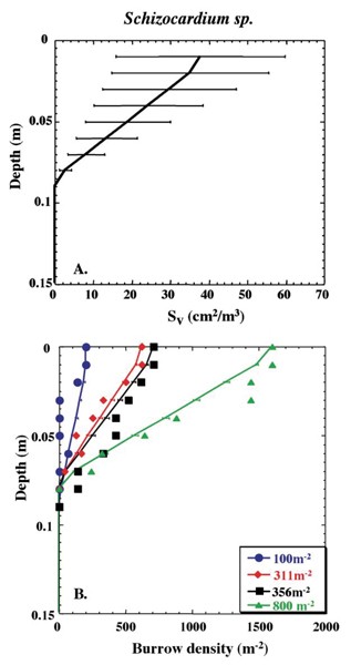 Figure 8