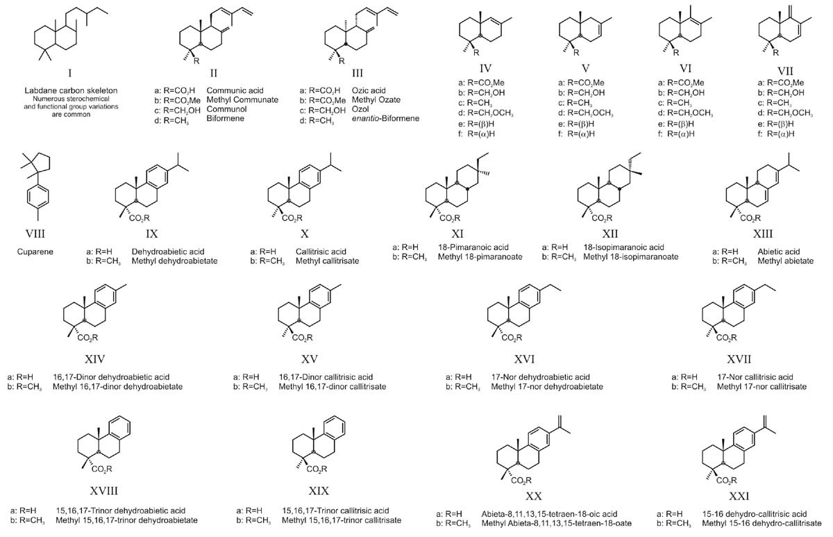 Appendix 1