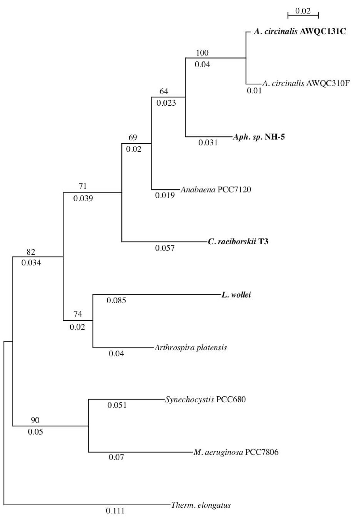 Figure 4