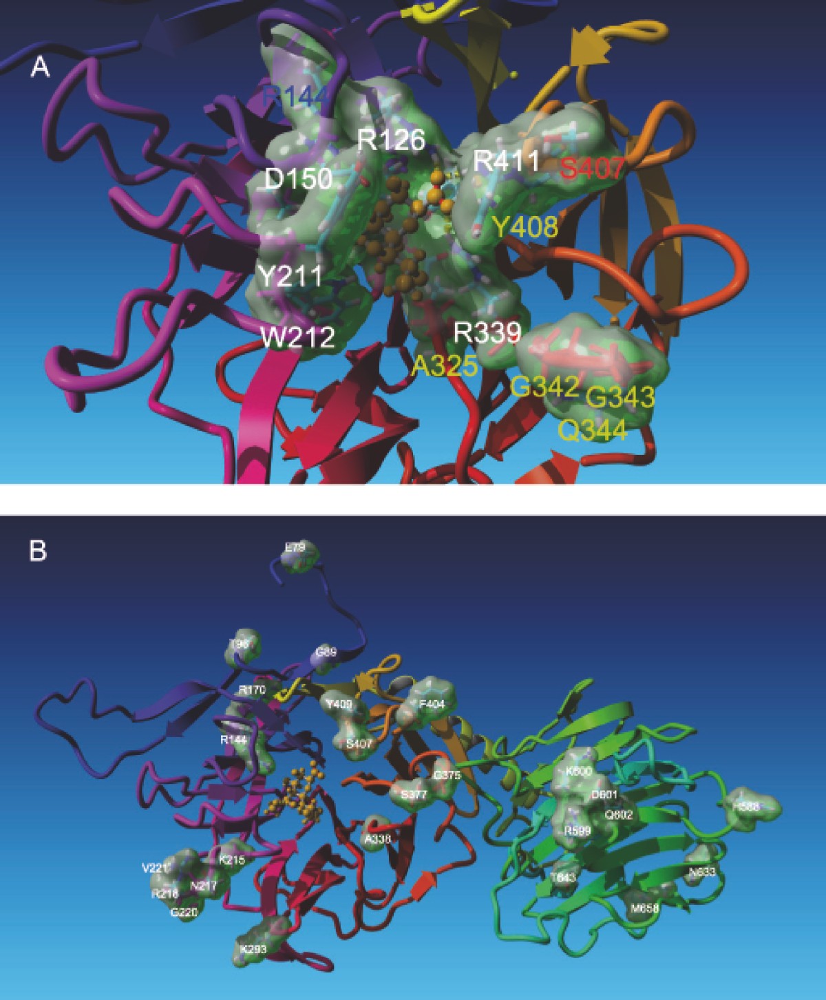 Figure 4