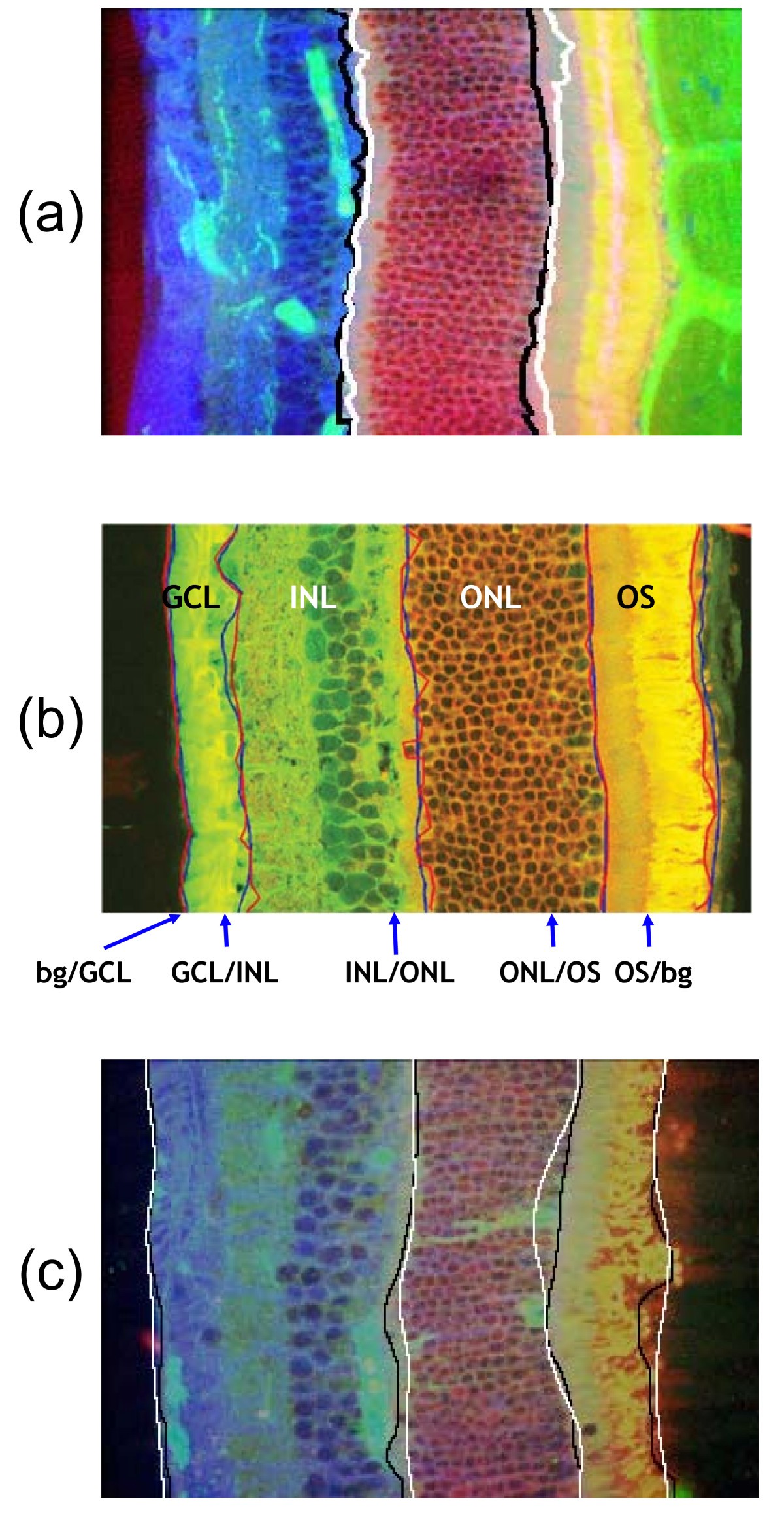 Figure 10