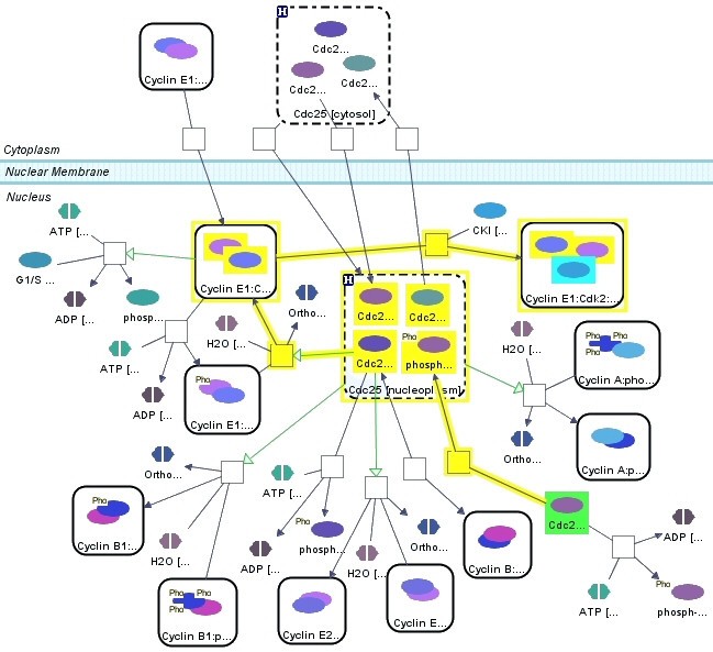 Figure 13