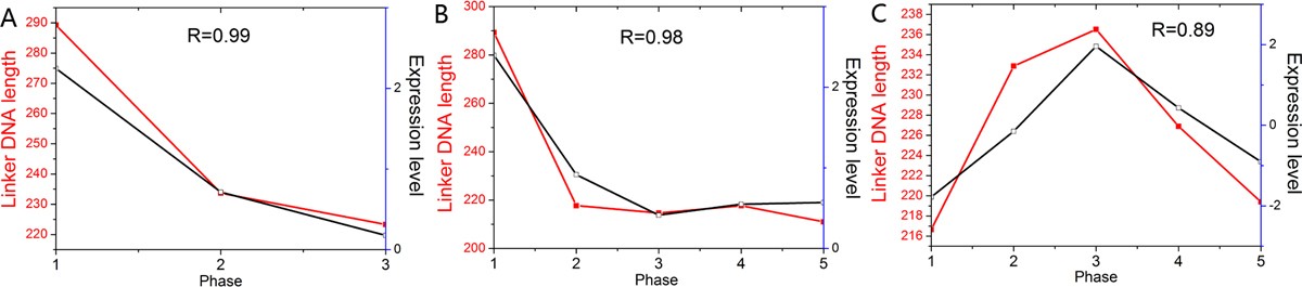 Figure 8