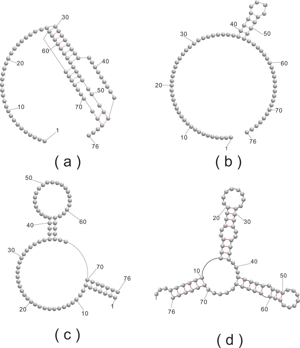 Figure 17