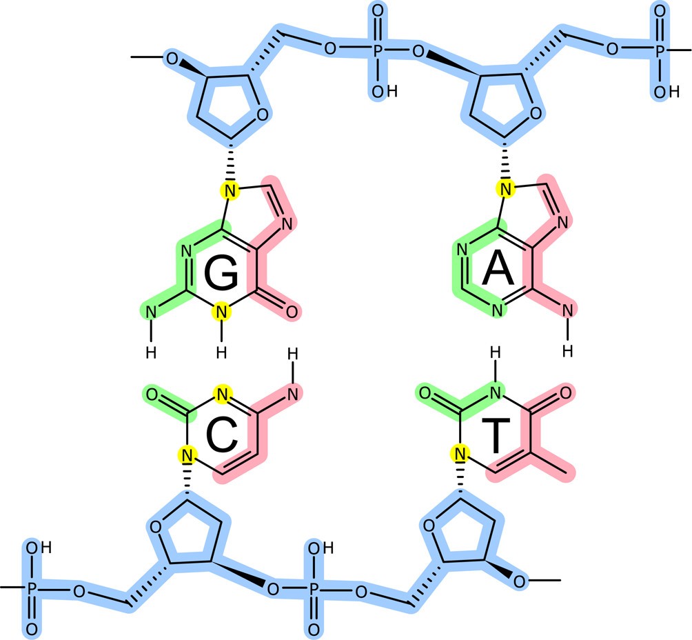 Figure 5