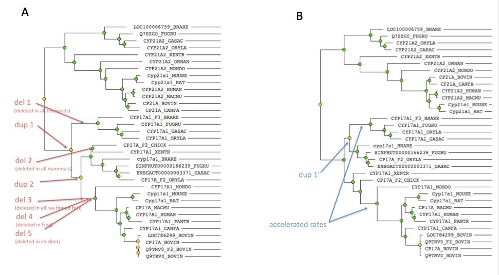 Figure 10