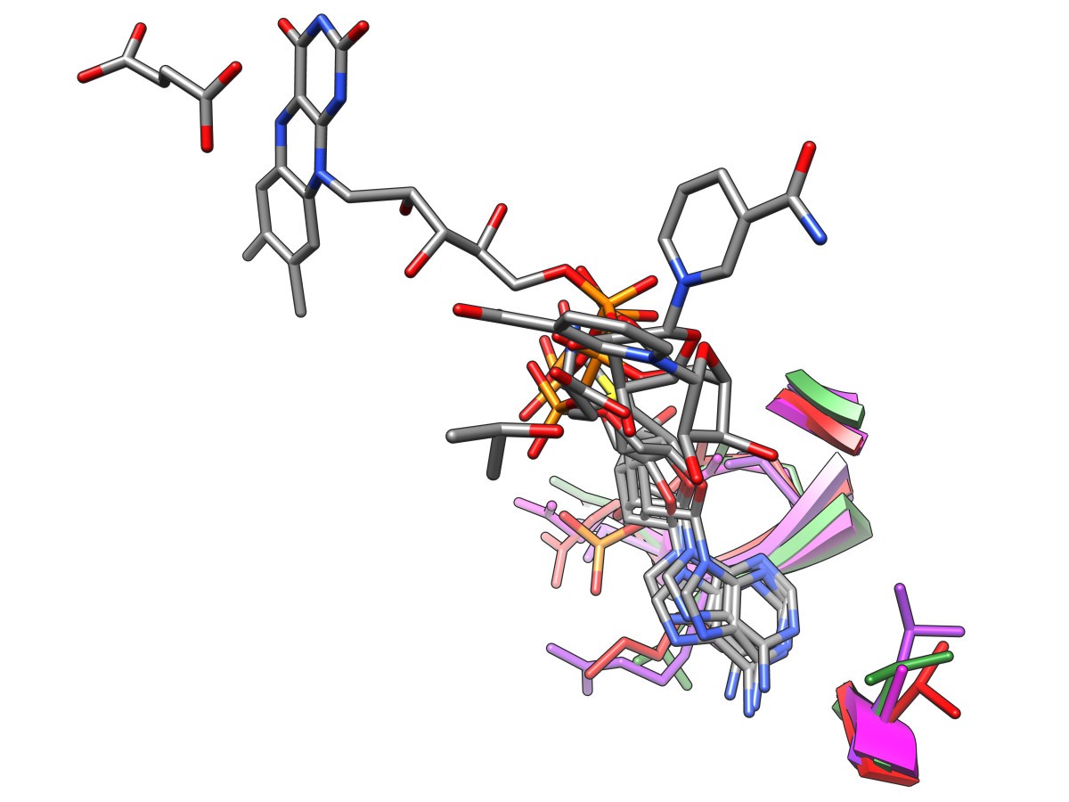 Figure 6