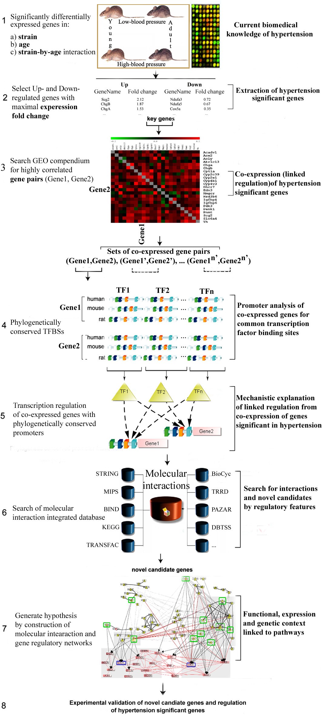 Figure 6