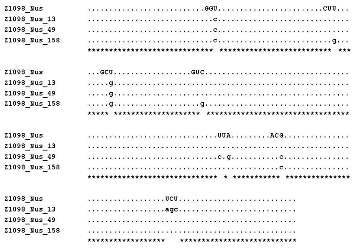 Figure 5