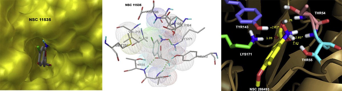 Figure 5