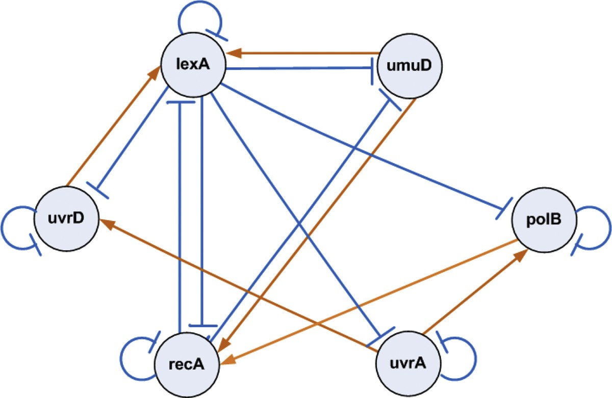 Figure 5