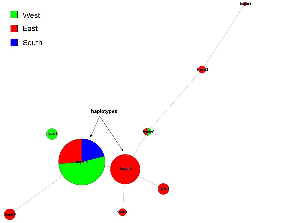 Figure 9