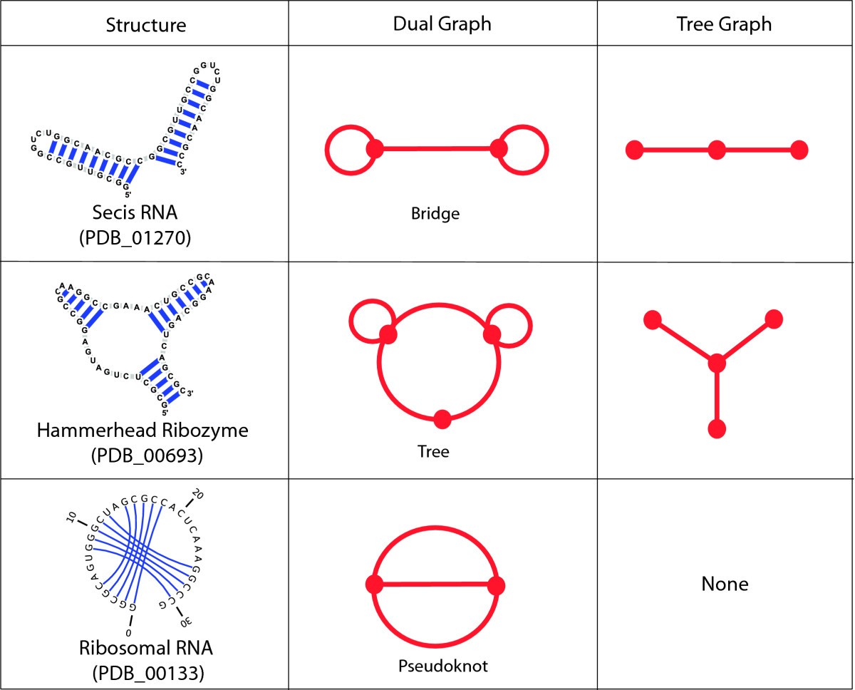 Rag  An Update To The Rna