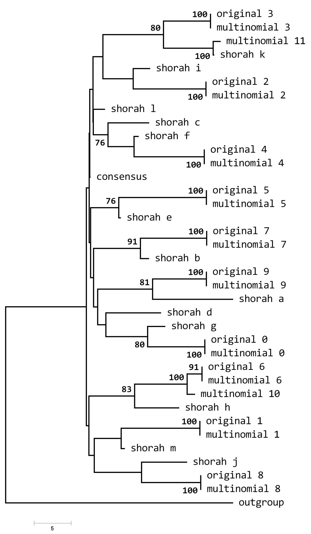 Figure 5