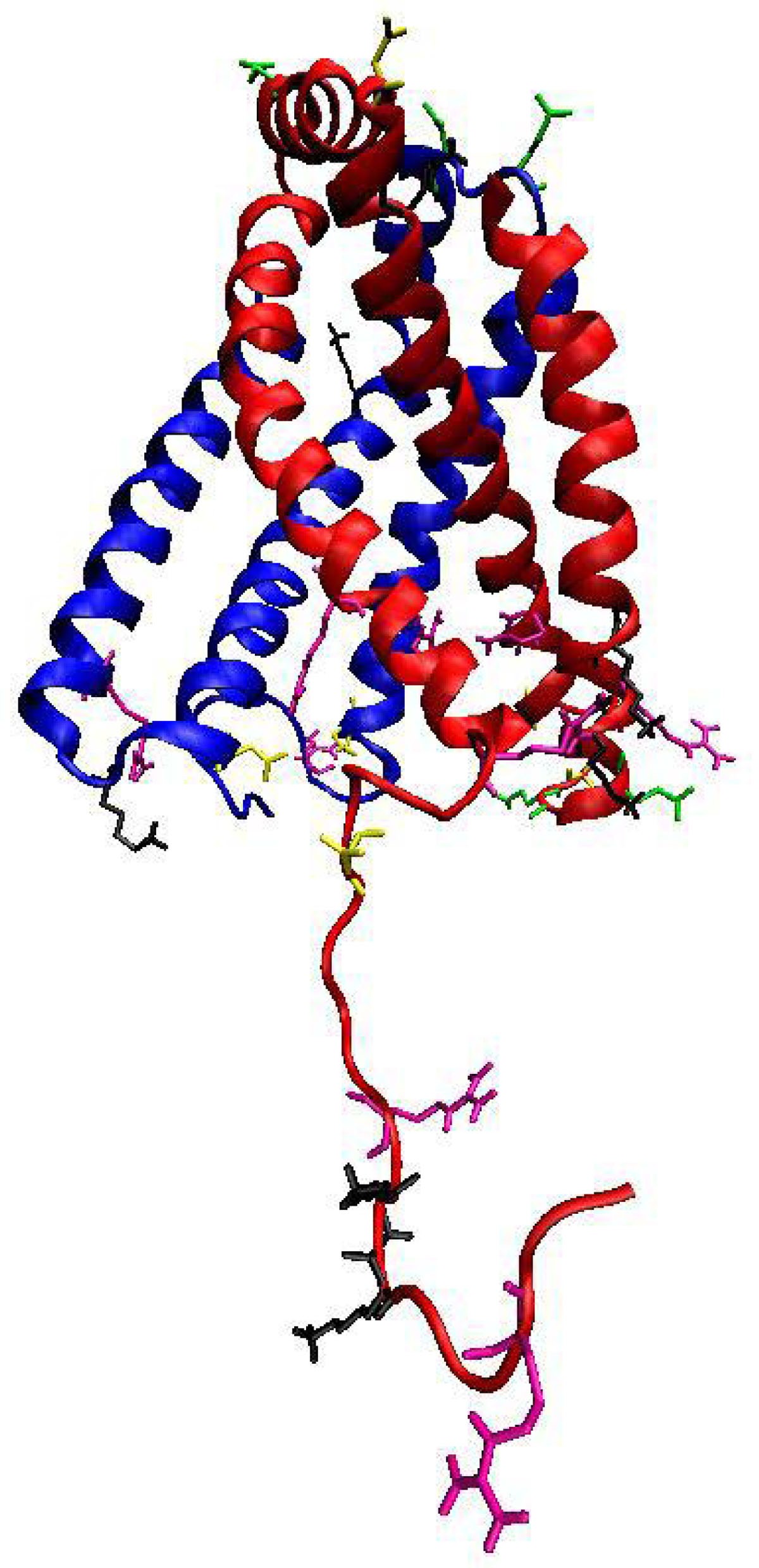 Figure 13