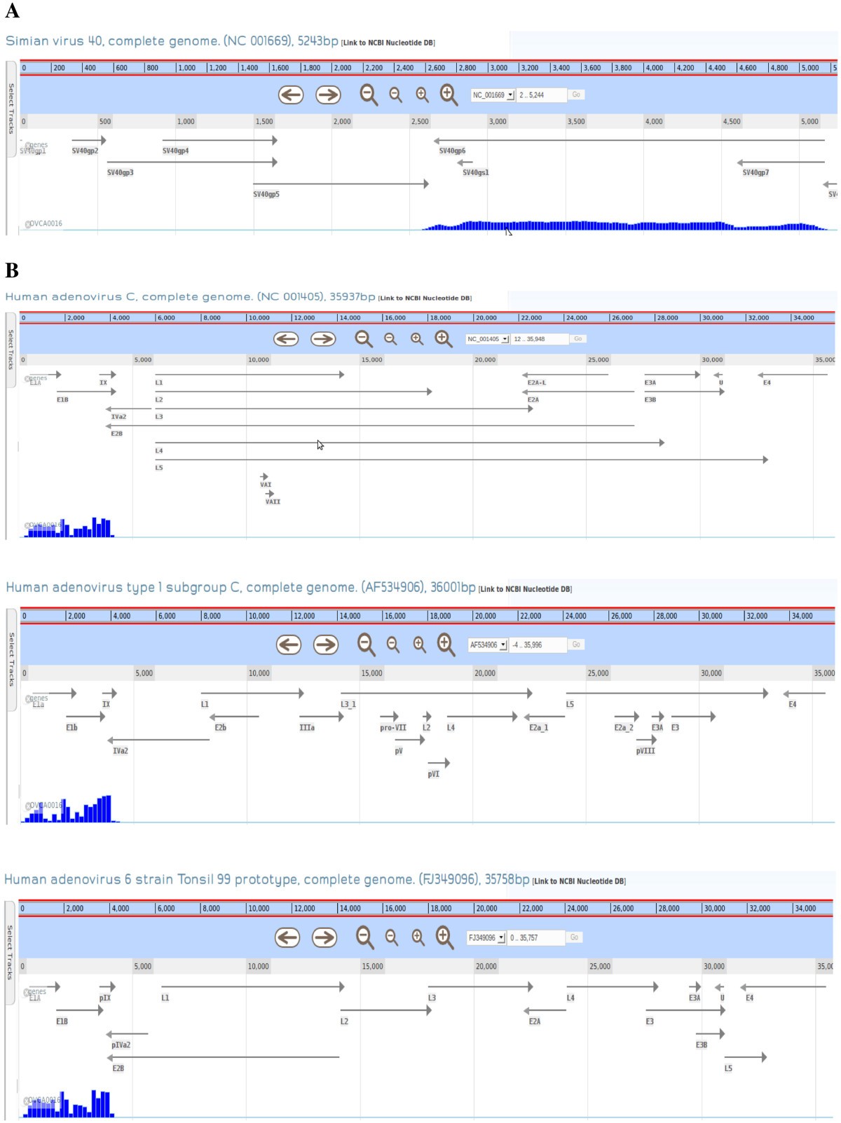 Figure 5