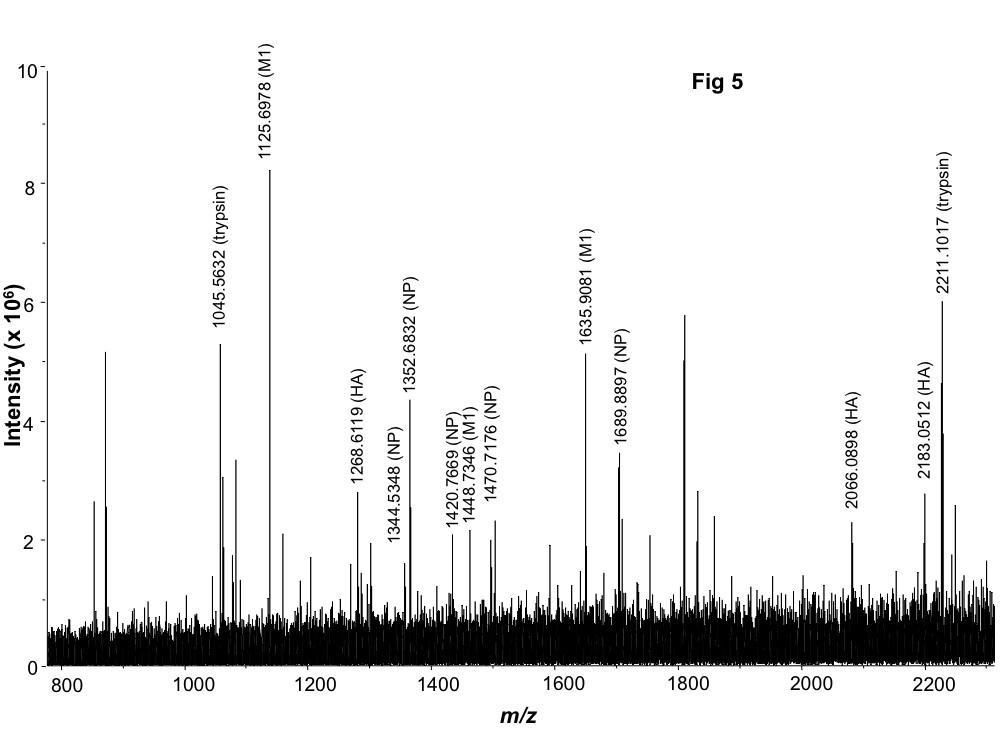 Figure 5