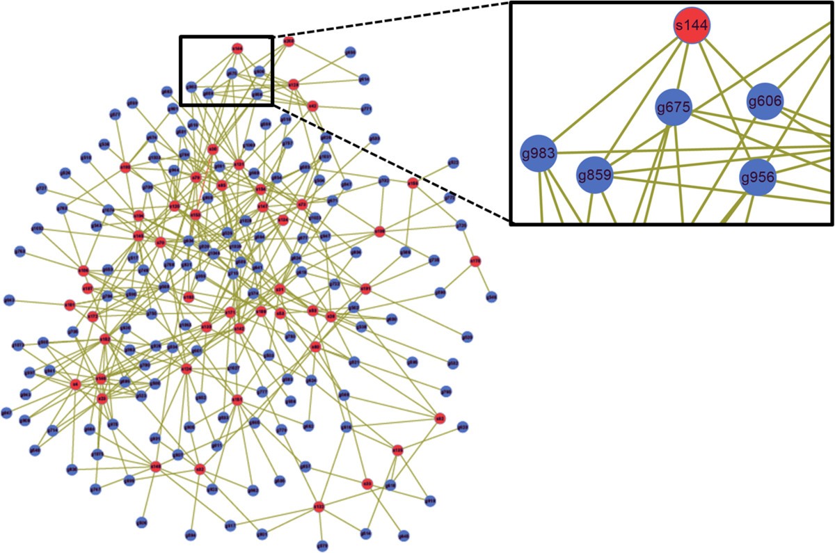 Figure 7