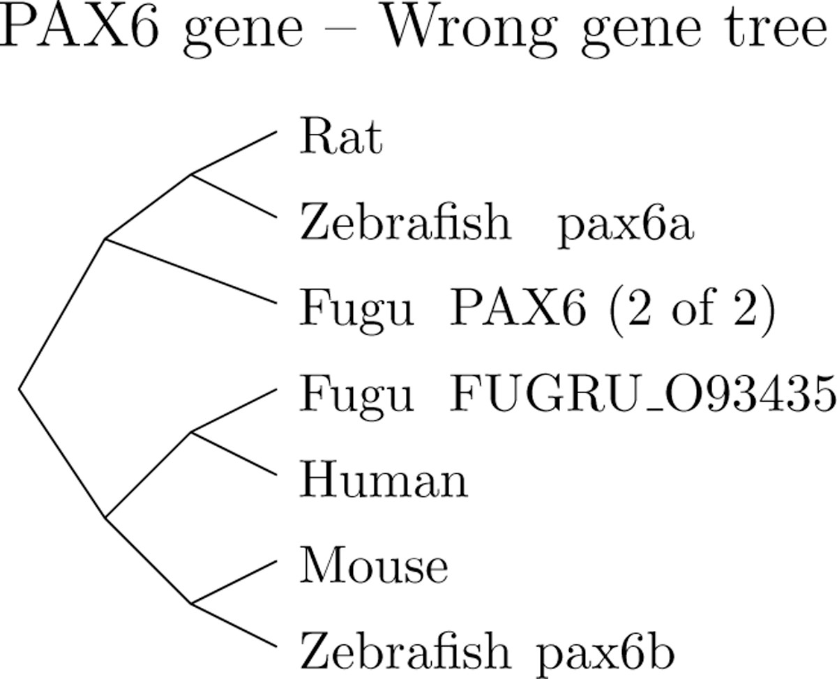 Figure 10