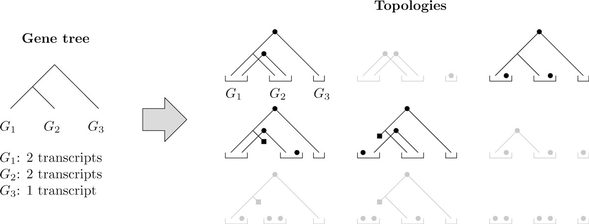 Figure 11