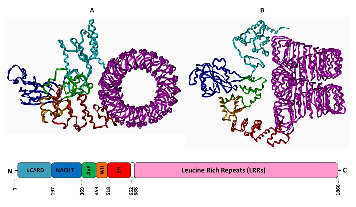 Figure 5